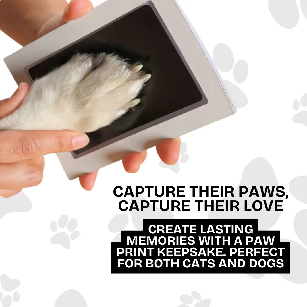 Felineo™ Pet Paw Print Kit My Store