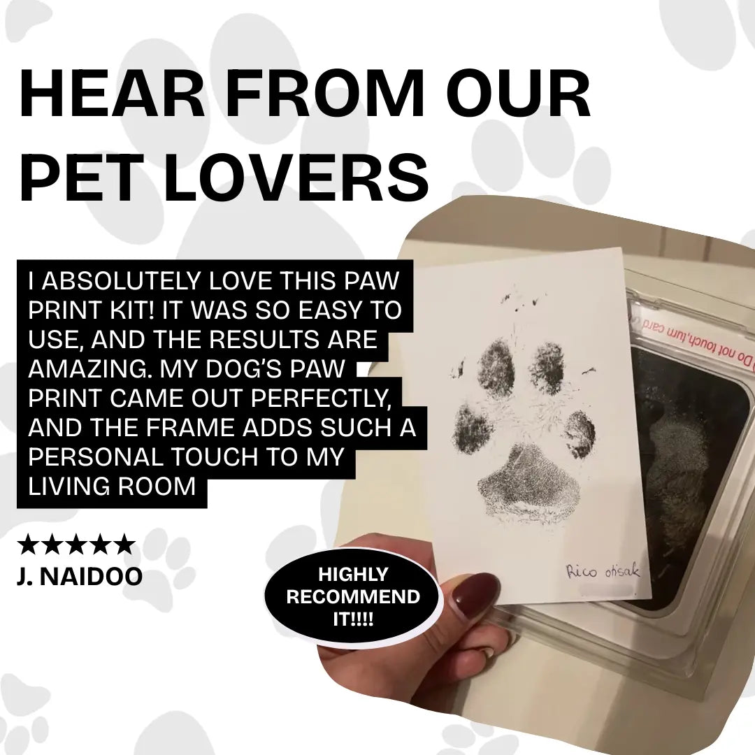Felineo™ Pet Paw Print Kit My Store