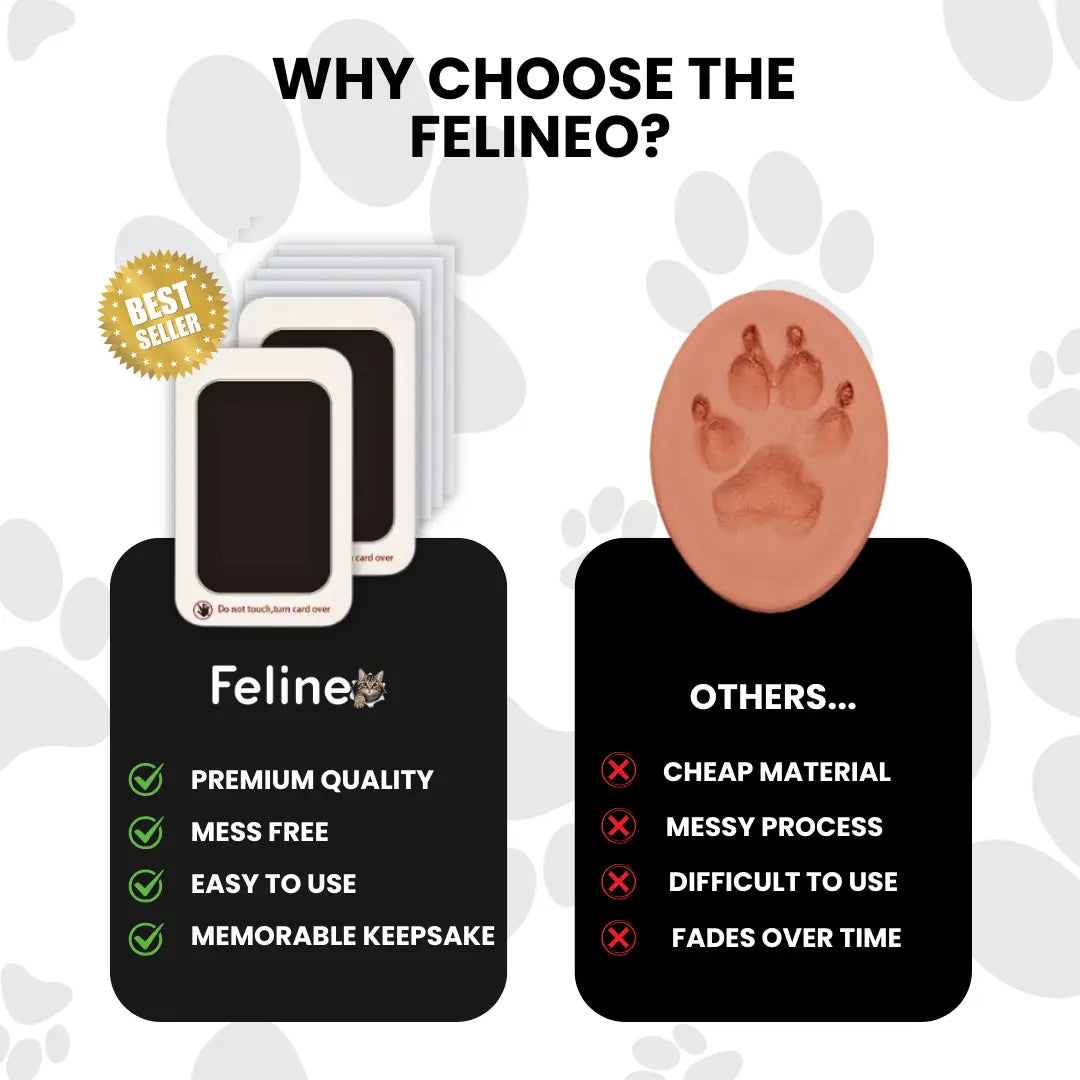 Felineo™ Pet Paw Print Kit My Store