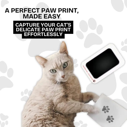 Felineo™ Pet Paw Print Kit My Store