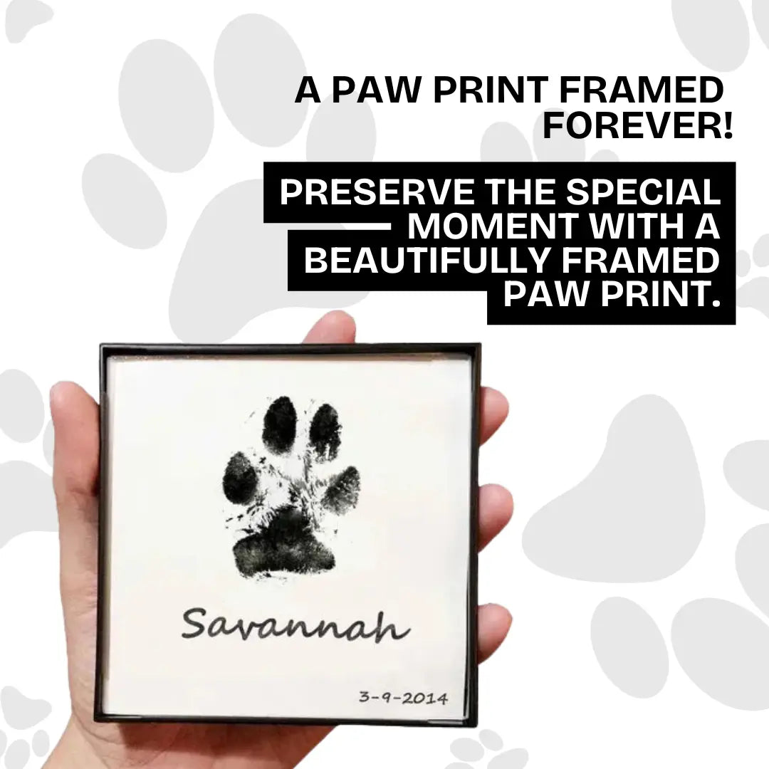Felineo™ Pet Paw Print Kit My Store